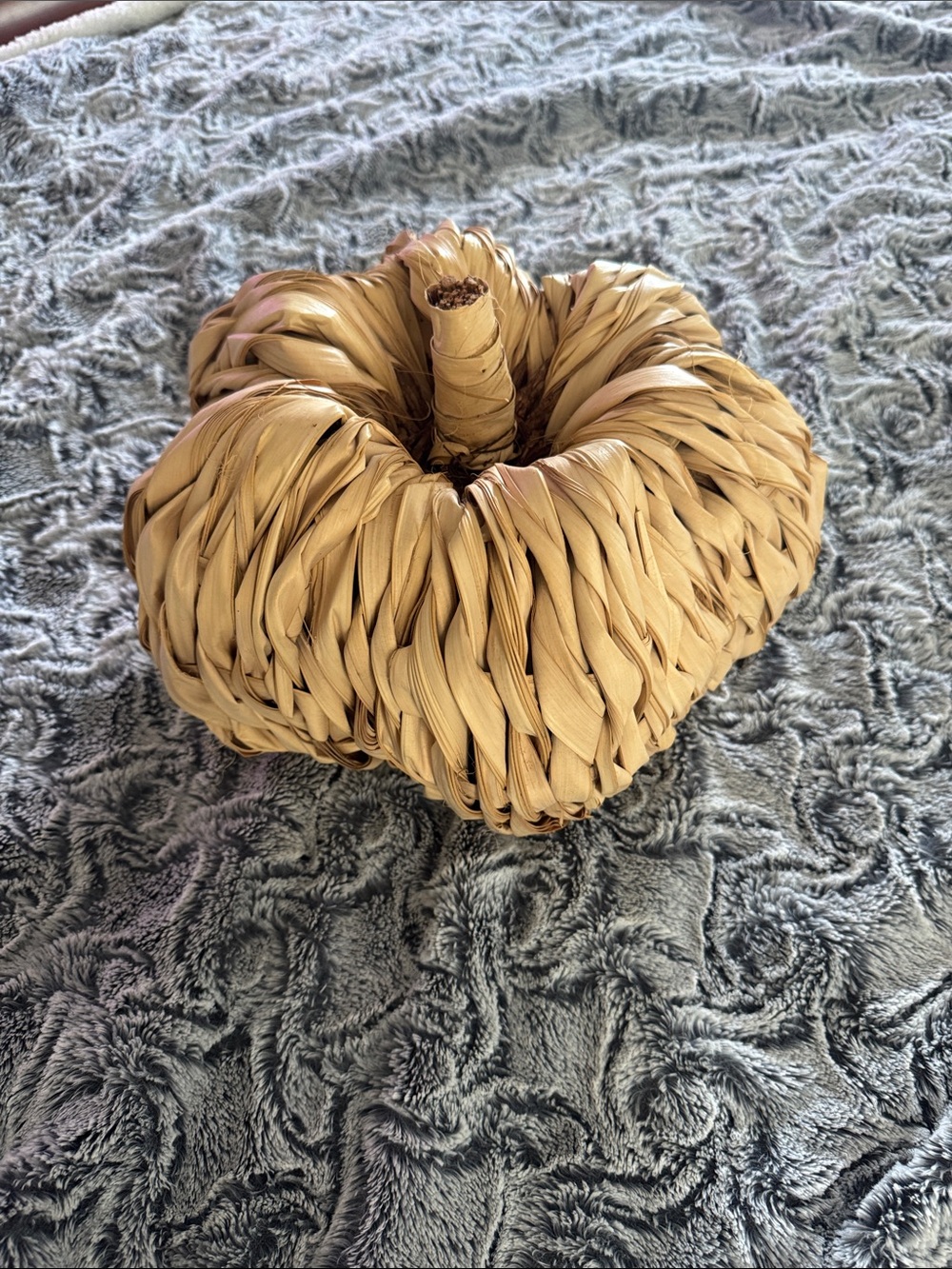 Handwoven Raffia Pumpkin Accent - Natural Tan Fall Decor